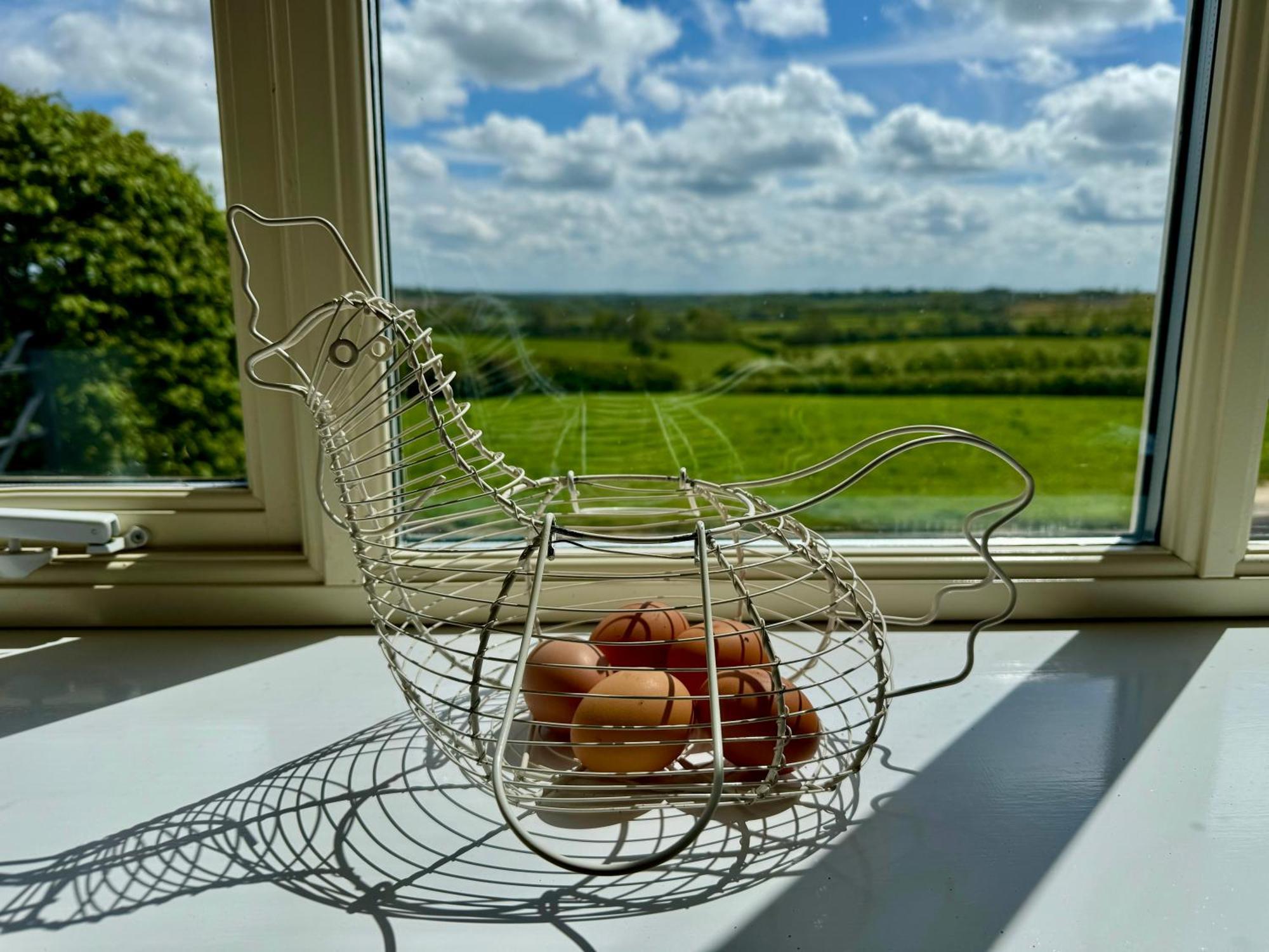 Cockley Hill Farm Bed & Breakfast ブラックリー エクステリア 写真